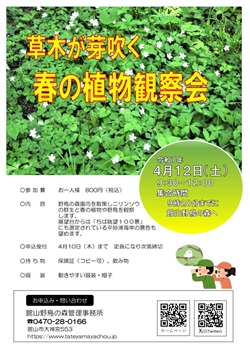 草木が芽吹く　春の植物観察会イベントのチラシ