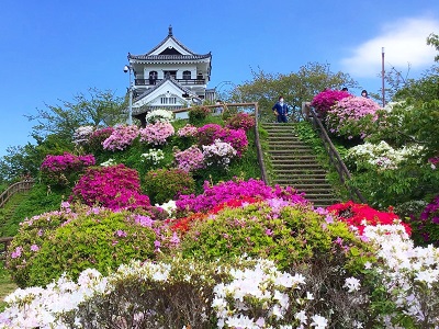 城山公園の館山城とツツジの写真
