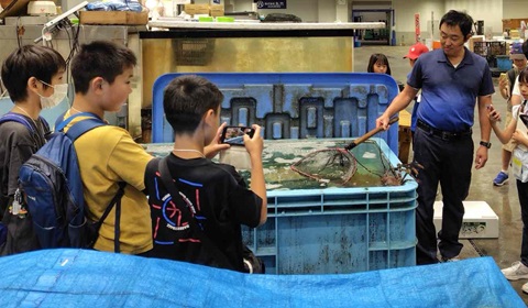 市場の魚コーナーを見学する子どもたちの画像