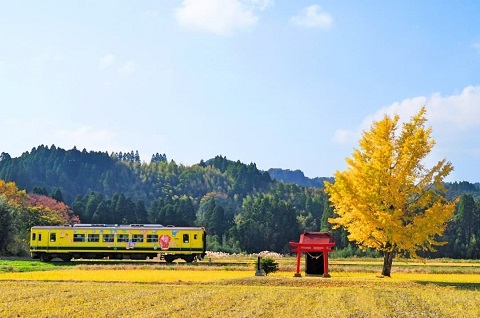 いすみ鉄道体験ツアーの写真