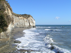 ドン・ロドリゴ上陸地