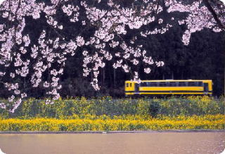 いすみ鉄道の写真