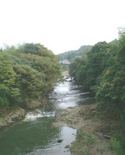 夷隅川の様子