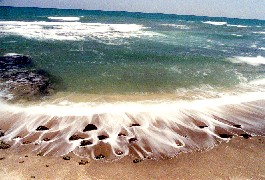 海の写真