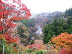 粟又の滝2