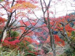 粟又の滝