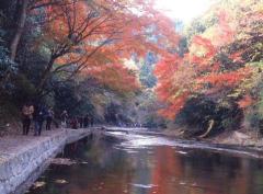 粟又の滝遊歩道