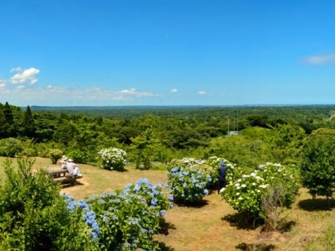 長南町の風景の画像