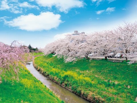 茂原市の風景の画像