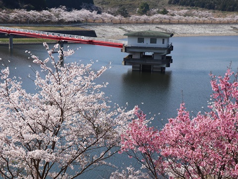 長柄町の風景の画像