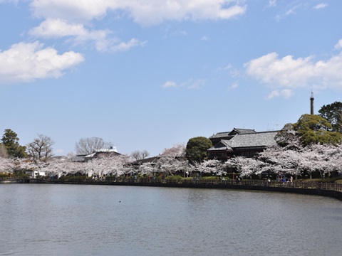 東金市の風景の画像