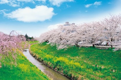 茂原市の風景写真