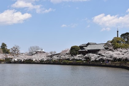 東金市の風景の写真