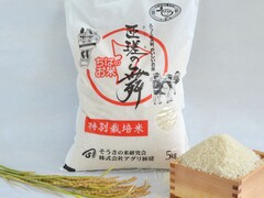 C賞 匝瑳市ブランド米そうさのまい