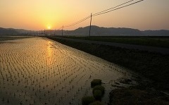 東庄町の景色の画像