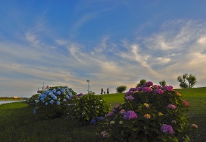 多古町の風景