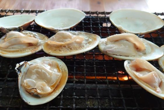 浜茶屋向島の画像