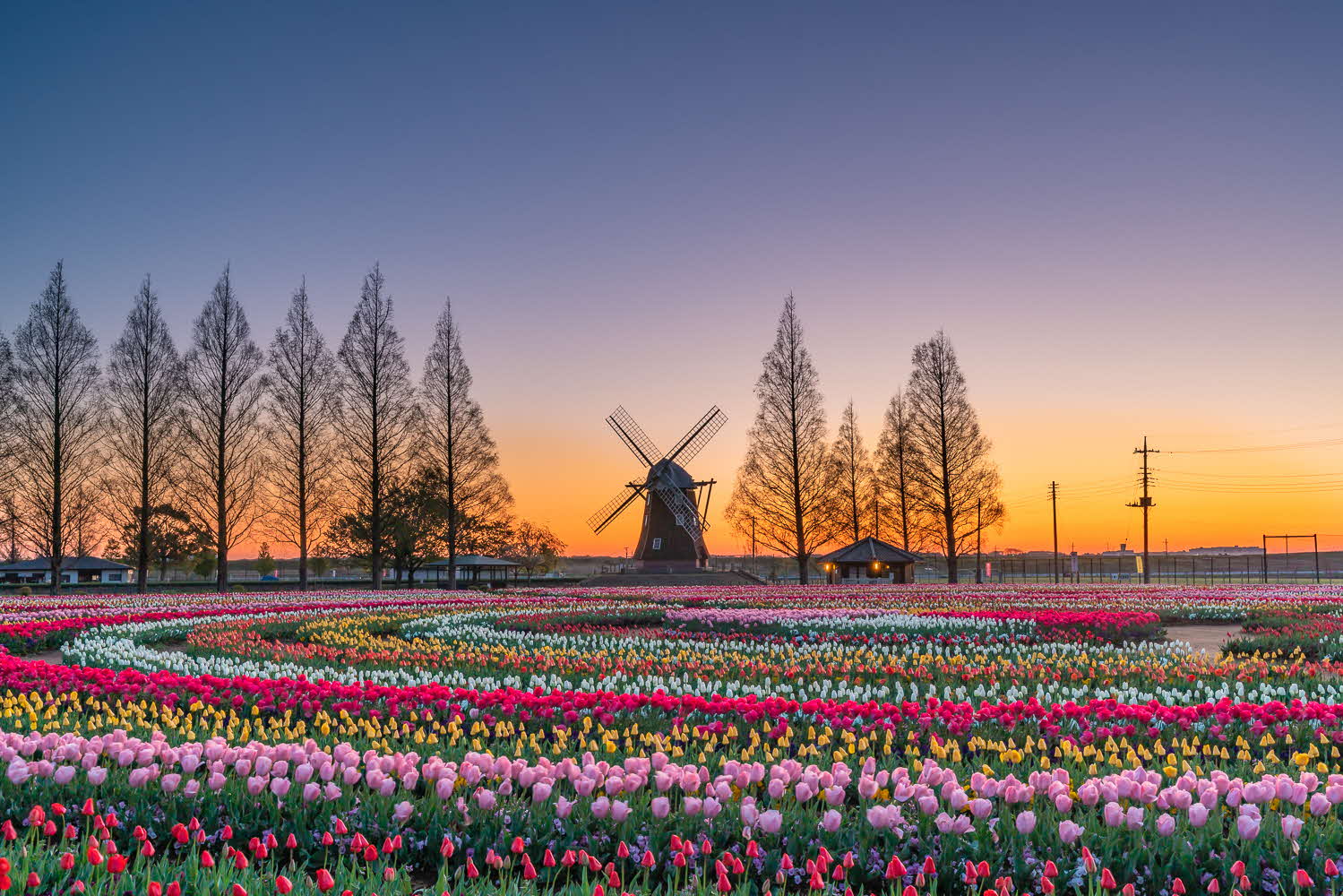 あけぼの山農業公園の明け方の写真