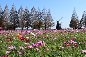 あけぼの山農業公園の写真