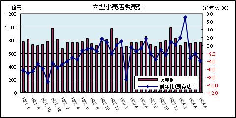 大型小売店販売額（平成24年6月）