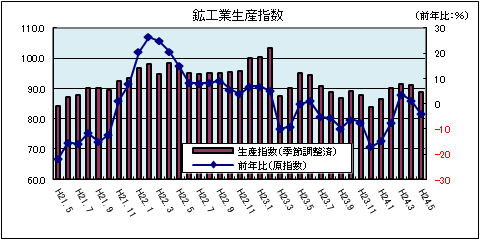 鉱工業生産指数(平成24年5月)