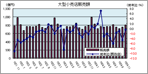 大型小売店販売額（平成24年11月）