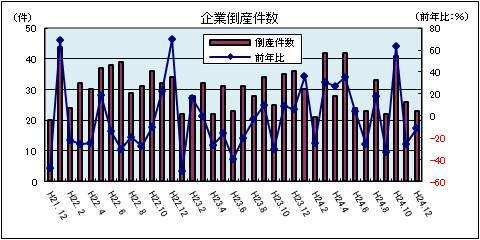 企業倒産件数（平成24年12月：負債総額1千万円以上）