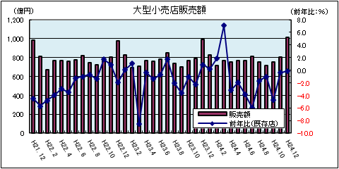 大型小売店販売額（平成24年12月）