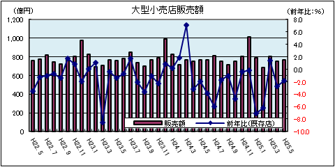 大型小売店販売額（平成25年5月）