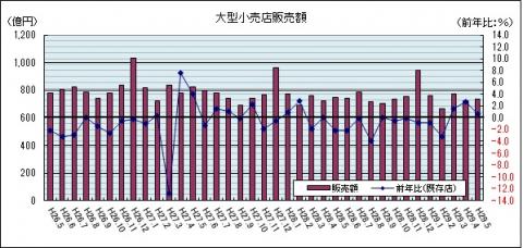 大型小売店販売額（平成29年5月のグラフ）