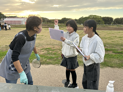 フィールドワークの様子