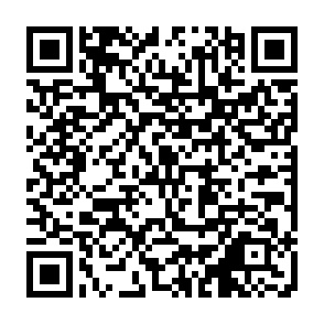 申込フォームのQRコード