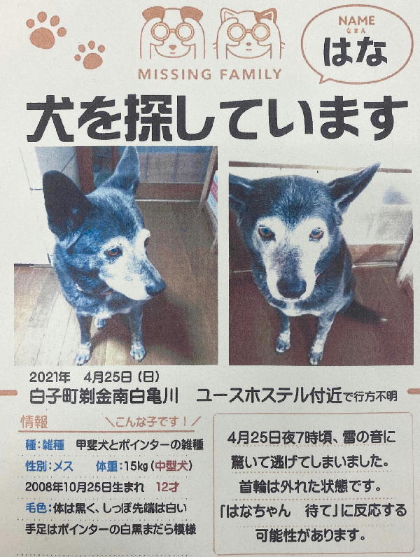 迷子 逸走動物の情報 夷隅保健所 夷隅健康福祉センター 千葉県 迷子 逸走動物の情報 夷隅保健所 夷隅健康福祉センター 千葉県