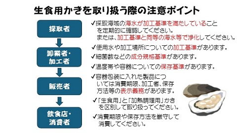生食用かきを取り扱う際の注意ポイント（採取者、卸業者・加工者、販売者、飲食店・消費者）を図解した画像