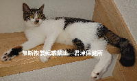 no-photo no-photo