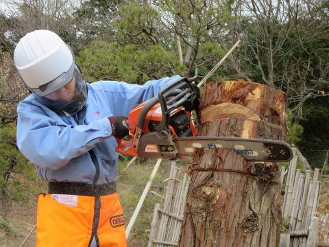 伐木等の業務に係る特別教育