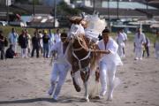 190吾妻神社の馬だし祭り