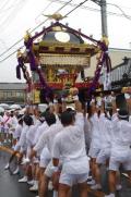 19行徳神輿とまつり