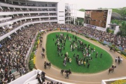 26中山競馬場