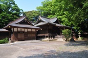 96神崎神社となんじゃもんじゃ