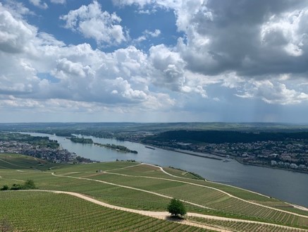 Le Rhin, le fleuve a la figure paternelle