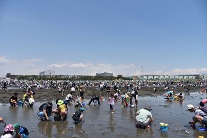 Funabashi Sanbanze Seaside Park