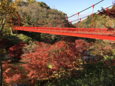 izumi nature park