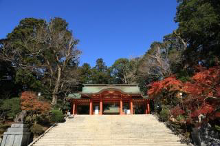 Katori Jingu Shrine Fall Foliage 1