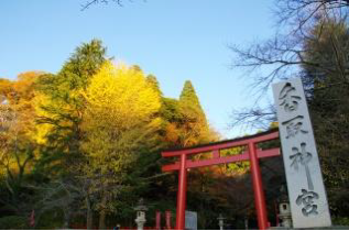Katori Jingu Shrine Fall Foliage 2