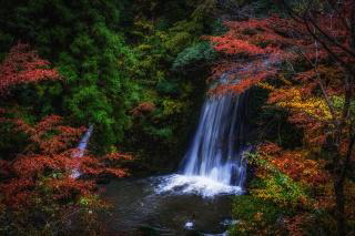 Shiraiwa / Yomogi Fudo Falls Fall Foliage 1