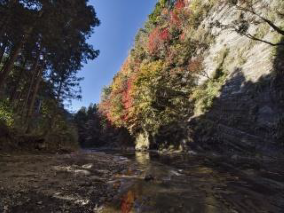 Shiraiwa / Yomogi Fudo Falls Fall Foliage 2