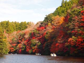 Lake Kameyama Fall Foliage 2