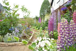 Ichihara Open Garden 2026