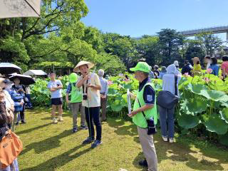 Oga Lotus Festival
